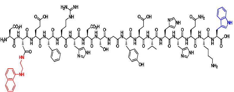 실험에 이용된 베타아밀로이드 펩타이드 II 구조 (17개의 아미노산)