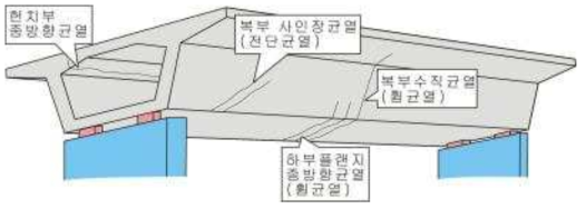 피에스 박스 거더 교량에서 발견되는 균열