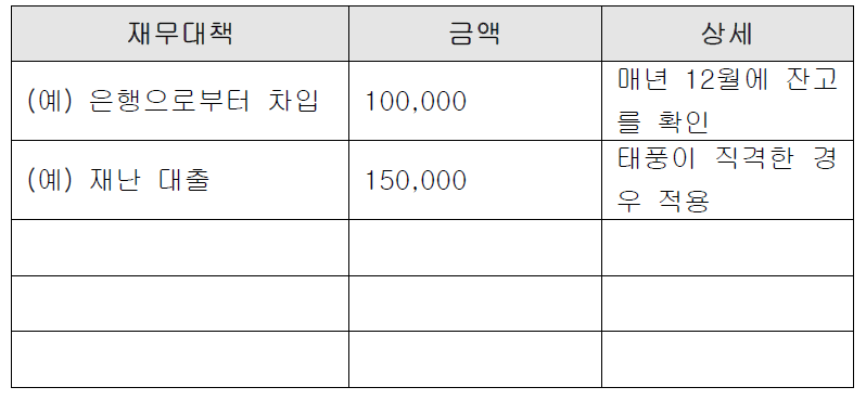 재무대책의 예시