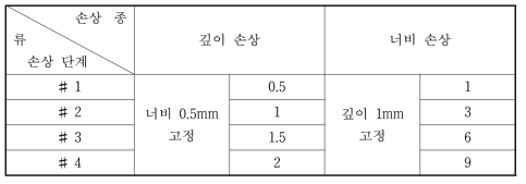 손상 모델 종류 및 단계 (단위: mm)