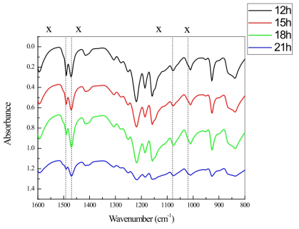 FT-IR results of the SPEEKs