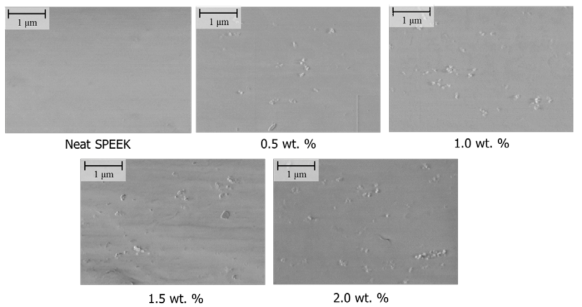 SEM images of the SPEEK nanocomposite membranes