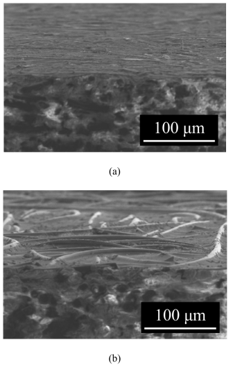 SEM images of the specimen surfaces fabricated at 3 MPa by: (a) conventional compression molding; (b) the soft layer method