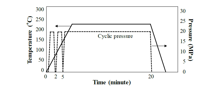 Curing cycle for the carbon/fluoroelastomer composite bipolar plate specimen