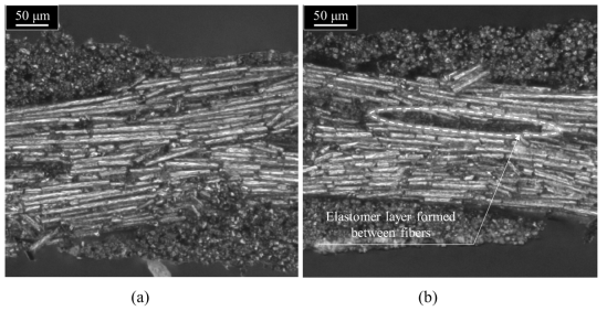 Cross-section images of fabricated bipolar plate specimens: (a) carbon black of 3 wt.%; (b) carbon black of 4 wt.%