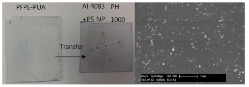 투명전극 (PH 1000) 위로 PS나노입자를 도입한 중간층 물질 (AI 4083) 의 전사결과 (좌) 와 그 표면의 SEM 이미지 (우)