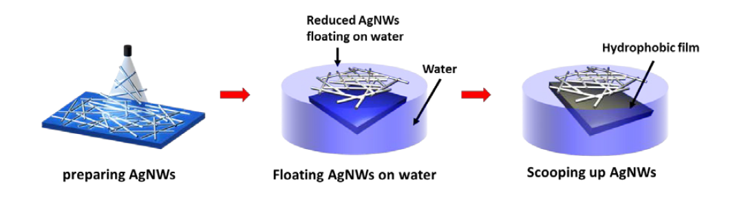Process scheme of AgNW electrode transfer through hydrazine treatment