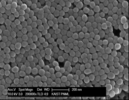 SEM image of PS nanoparticles with as average size of 65 ± 5nm