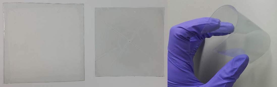 Optic images of transferred interlayer onto transferred transparent electrode with size of 10cm x 10cm (left) and large area film of transparent electrode/interlayer fabricated by stamping transfer (right)