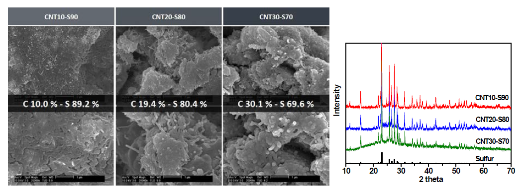 SEM images and XRD patterns of CNT-S composites