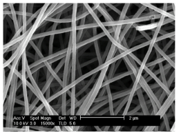 The SEM image of electro-spun carbon nanofiber (CNF)