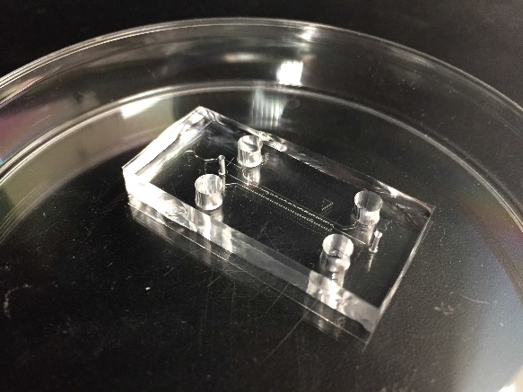 A completed microfluidic chip made of a cover glass and a PDMS chip fabricated by a silicon wafer master and soft lithography