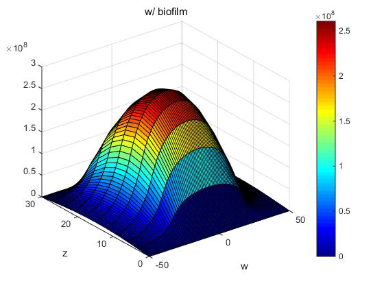 Velocity profile from the modeling