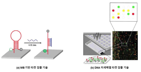 (a) MB 기반 타겟 검출 기술 (b) DNA 미세배열 타겟 검출 기술