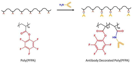 항체가 공유 결합된 poly(PFPA) 고분자