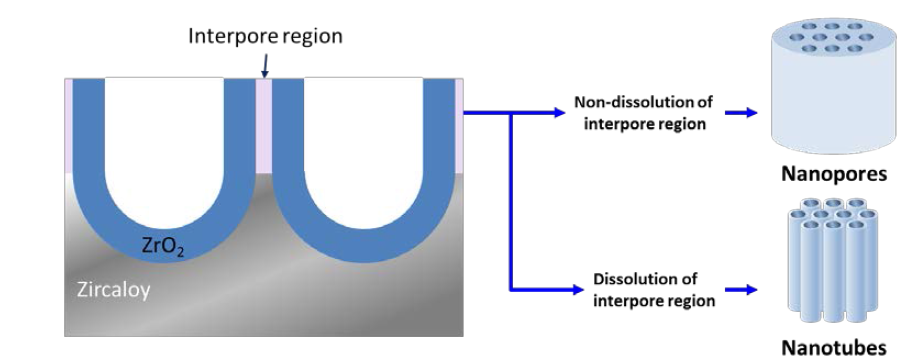 A mechanism on the morphology evolution of anodic oxide layer to porous or tubular structure