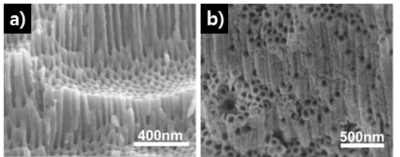 FESEM images showing an intermediate process that a ZrO2 porous morphology is transformed into a tubular morphology: (a) cross-sectional, (b) top, and (c) bottom images of the oxide layer