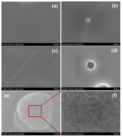 FESEM image of the stainless steel sample anodized in EG electrolyte containing 0.3 % NH4F and 0.1 % DI H2O at 40 V for (a) 30 min, (b) 1hr and at 60 V for (c) 30 min, (d-f) 1 hr at room temperature