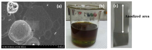 (a) FESEM image of the stainless steel sample anodized in EG electrolyte containing 0.3 % NH4F and 0.1 % DI H2O for 31 hr 60 V, (b) digital pictures showing (b) electrolyte, (c) stainless steel sheet after 3 hr anodization at room temperature