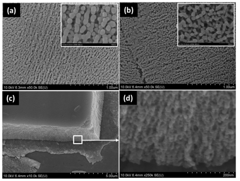 FESEM images of stainless steel sample anodized in EG electrolyte containing 0.1M dm3 NH4F and 0.1 %M dm3 DI H2O at 60 V and 40 °C. (a) as-anodized top surface, (b) annealed top surface, (c-d ) cross-sectional view of the oxide layer after annealing