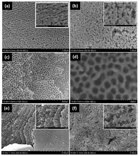 FESEM images of stainless steel sample anodized in EG electrolyte containing 0.1M dm3 NH4F and 0.1 %M dm3 DI H2O at 80V (a-d) and 100 V (e,f) at 40 °C. (a, e) as-anodized top surface, (b-d, f) annealed top surface