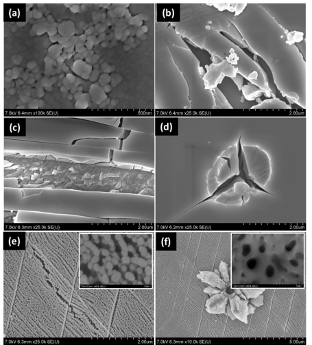 FESEM images of stainless steel sample anodized in EG electrolyte containing 0.1M dm3 NH4F and 0.1 %M dm3 DI H2O at (a) 20V, (b) 40, 60V (c), 80V (d) and (e,f) 100 V at 10 °C