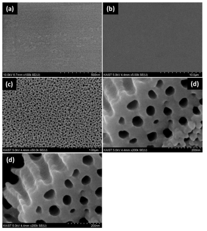 FESEM images of electro-polished stainless steel sample anodized in EG electrolyte containing 0.1M dm3 NH4F and 0.1 %M dm3 DI H2O at 100V at -5 °C