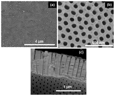 FESEM images of TiO2 nanoporous structure (TNP) fabricated in glycerol containing 0.5wt% NH4F via second-step anodization (a) top surface view at low magnification, (b) top surface view at high magnification, (c) cross-sectional view at low magnification showing the nanochannel formation