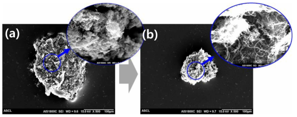 복합 입자의 SEM 이미지; (a) NMP 용매에 용해시키기 전, (b) 용해시킨 후