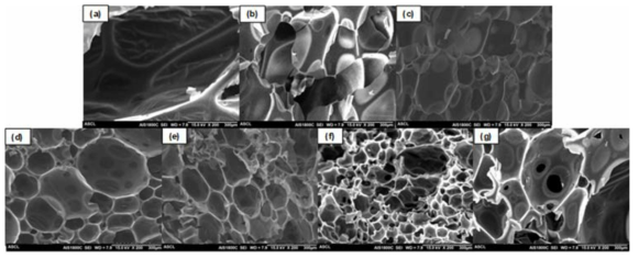 입자의 종류와 중량에 따른 페놀 폼의 SEM 이미지; (a) PF, (b) PF_0.08CNT, (c) PF_0.5CNT, (d) PF_1.0CNT, (e) PF_2.0CNT, (f) PF_2.0CP, and (g) PF_2.0PI