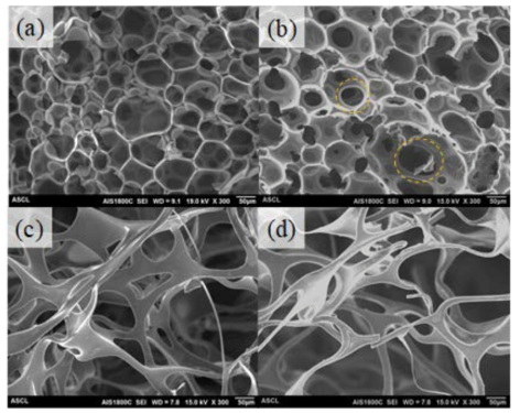 전구체 폼과 탄소 폼의 SEM 이미지; (a) PE 입자로 강화된 전구체 폼, (b) PE 입자로 강화된 탄소 폼, (c) SDS로 강화된 전구체 폼, (d) SDS로 강화된 탄소 폼