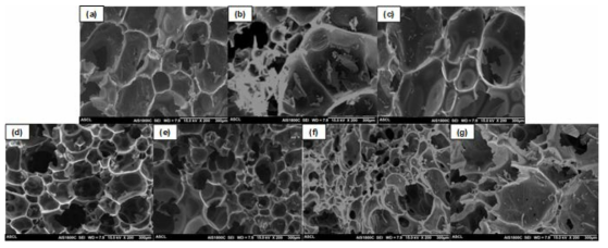 입자의 종류와 중량에 따른 탄소 폼의 SEM 이미지; (a) CF, (b) CF_0.08CNT, (c) CF_0.5CNT, (d) CF_1.0CNT, (e) CF_2.0CNT, (f) CF_2.0CP, and (g) CF_2.0PI