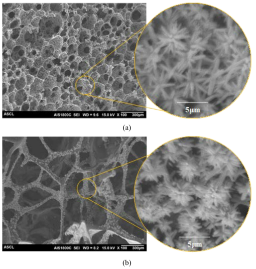 ZnO NRs의 SEM 이미지; (a) PE 입자로 강화된 전구체 품으로 제조한 연속 셀 탄소 폼, (b) SDS 입자로 강화된 전구체 품으로 제조한 연속 셀 탄소 폼