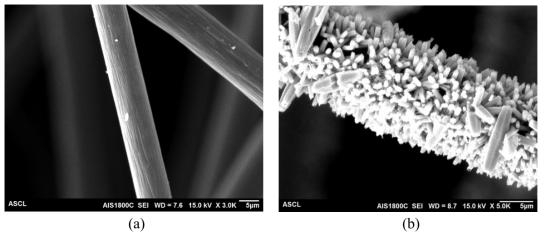 탄소 펠트의 SEM 이미지 (a) ZnO 코팅 전, (b) ZnO 코팅 후의 탄소 펠트