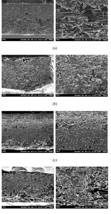 SEM topographies of the composite fracture surfaces magnified 250 (left) and 450 (right): (a) PP-film, (b) PP/PE-sol_CNT3, (c) PP/PE-sol_CNT5, (d) PP/PE-sol_CNT7