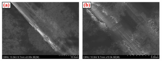 FE-SEM images of the carbon-felt-reinforced PP/PE/MWCNT composites at different magnifications: (a) 3000Ⅹ, (b) 10000Ⅹ