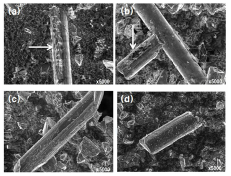 SEM images of the recycled CF according to pyrolysis temperature; (a)untreated, (b) 400 ºC, (c) 600 ºC, (d) 800 ºC