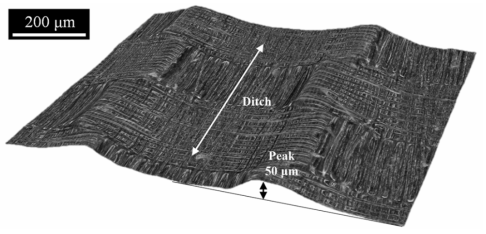 Three-dimensional microscopic image of the ditch pattern