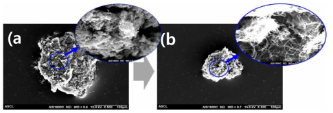 Scanning electron microscopy images of composite particles (a) before and (b) after dissolution using NMP solvent