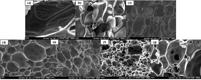 Scanning electron microscopy images of the precursor foam with different particle types and weight fractions. (a) PF, (b) PF_0.08CNT, (c) PF_0.5CNT, (d) PF_1.0CNT, (e) PF_2.0CNT, (f) PF_2.0CP, and (g) PF_2.0PI