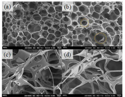 Scanning electron microscopy images of the precursor foams and carbon foams; (a) precursor foam reinforced with PE particles, (b) carbon foam reinforced with PE particles, (c) precursor foam reinforced with SDS, (d) carbon foam reinforced with SDS