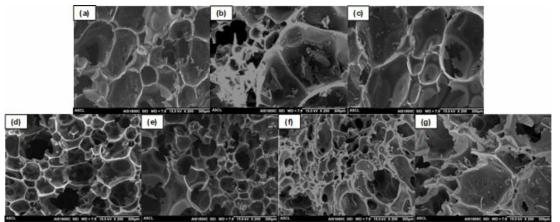 Scanning electron microscopy images of the carbon foams with different particle types and weight fractions. (a) CF, (b) CF_0.08CNT, (c) CF_0.5CNT, (d) CF_1.0CNT, (e) CF_2.0CNT, (f) CF_2.0CP, and (g) CF_2.0PI