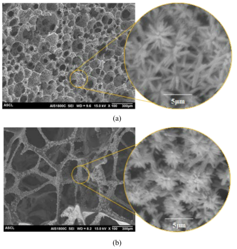 Morphology of ZnO NRs on the (a) open cell carbon foam fabricated by precursor foam reinforced with PE particles and (b) open cell carbon foam fabricated by precursor foam reinforced with SDS