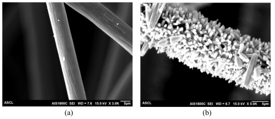 SEM images of (a) Neat CF, (b) ZnO modified-CF