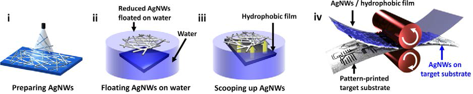 Formation and dry transfer process of AgNW