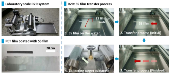 Large area process of organic thin film using R2R equipment