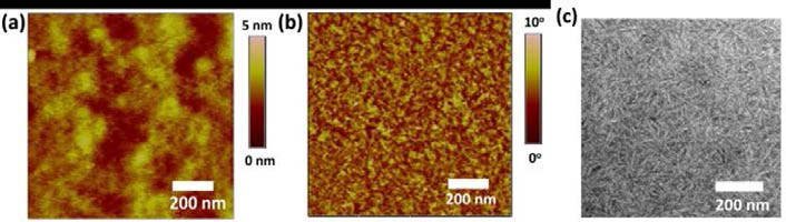 AFM (a) height (b) phase images, and (c) TEM image of PPDT2FBT-A:Bis-C60-A blend films