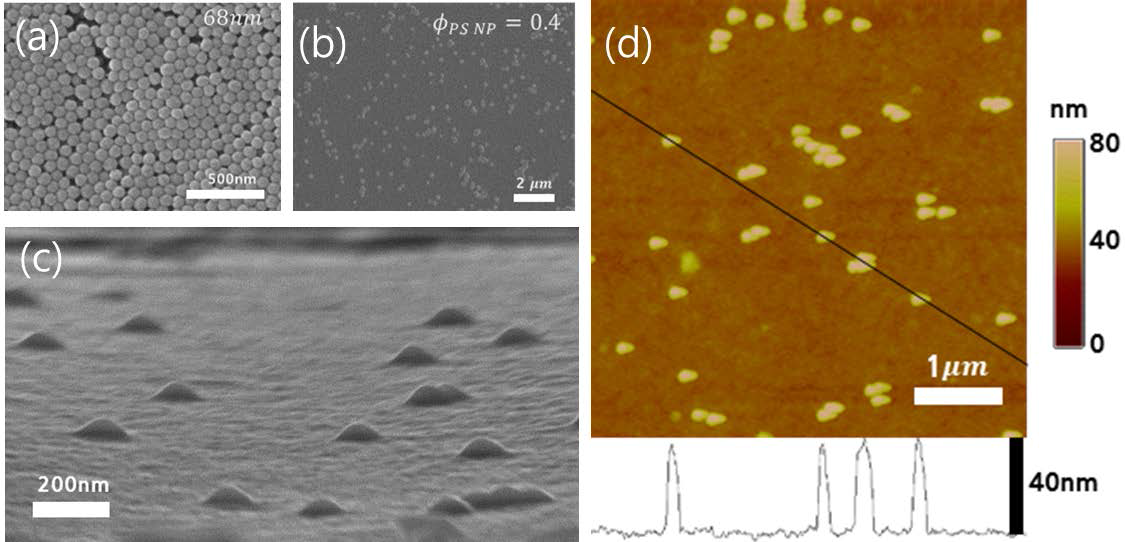 SEM images of (a) the synthesized PS NPs and (b,c) transferred PEDOT:PSS with PS NPs layer. (d) AFM images of the surface of the transferred PEDOT:PSS with PS NPs films