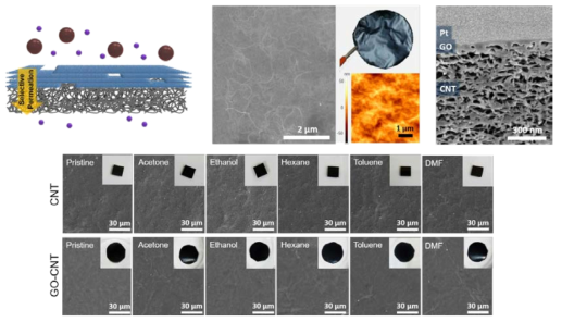 Development of chemically stable GO-CNT composite membrane for separation