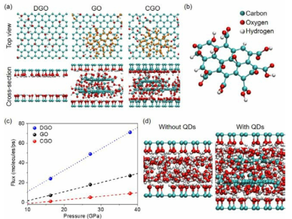 Simulated water flows through the interlayer channel of DGO, GO, and CGO. (A) The structures of DGO, GO, CGO channels used for the MD simulation. (B) The chemical structure of QD used in the simulation system. The ODs are highlighted with orange color in the top-view image. (C) The flux of water molecules through the nanochannel of DGO, GO and CGO for every 1ps as a function of the pressure gradient. (D) Snapshot of flowing water molecules depending on the presence of QDs in the nanochannel